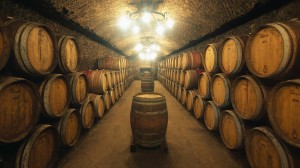 barrels-of-wine-aging-245031